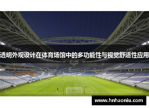 透明外观设计在体育场馆中的多功能性与视觉舒适性应用